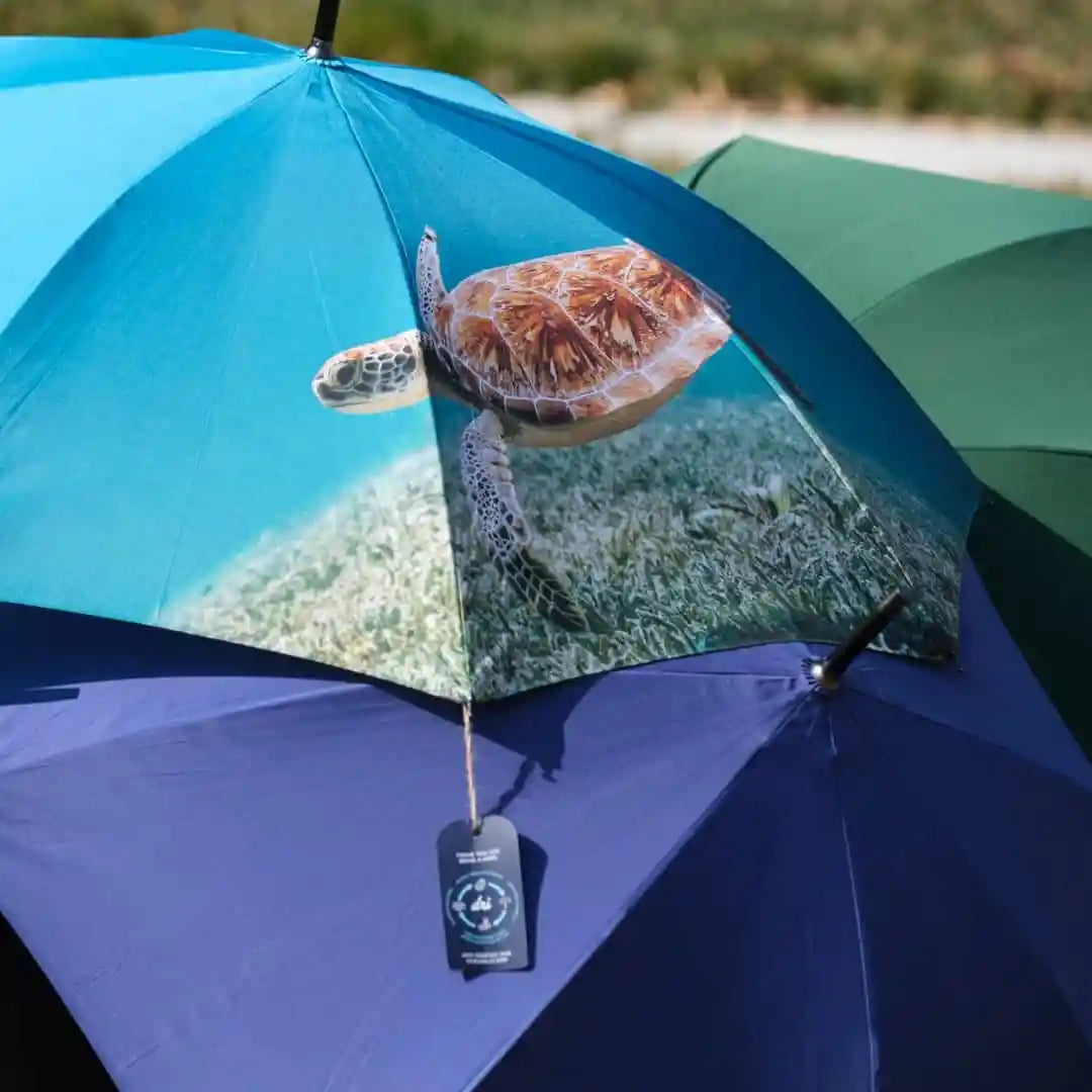 eco-friendly umbrellas