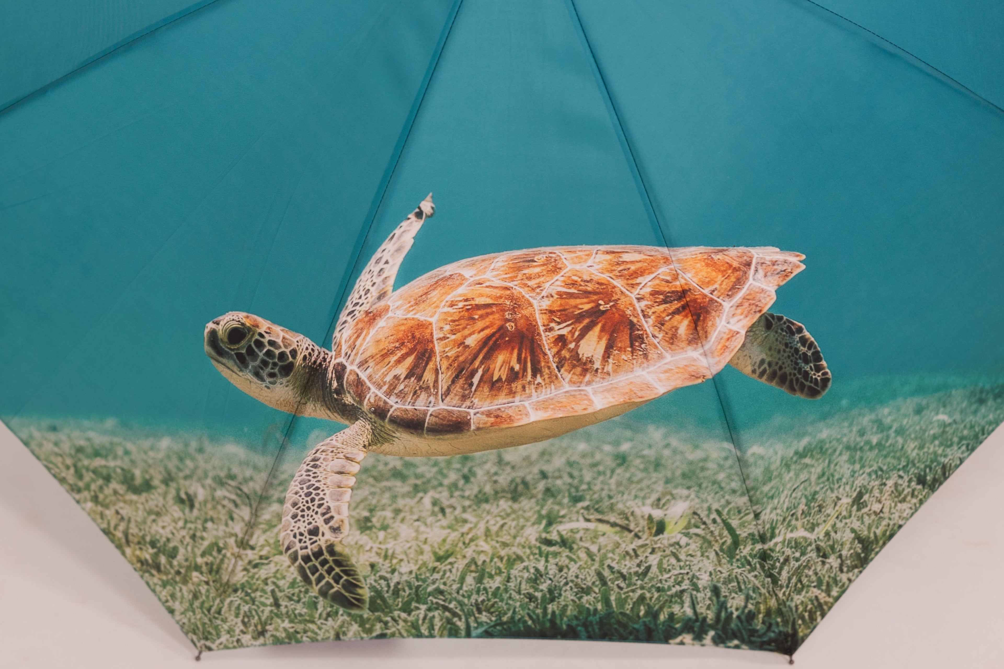 sea turtle pattern umbrella