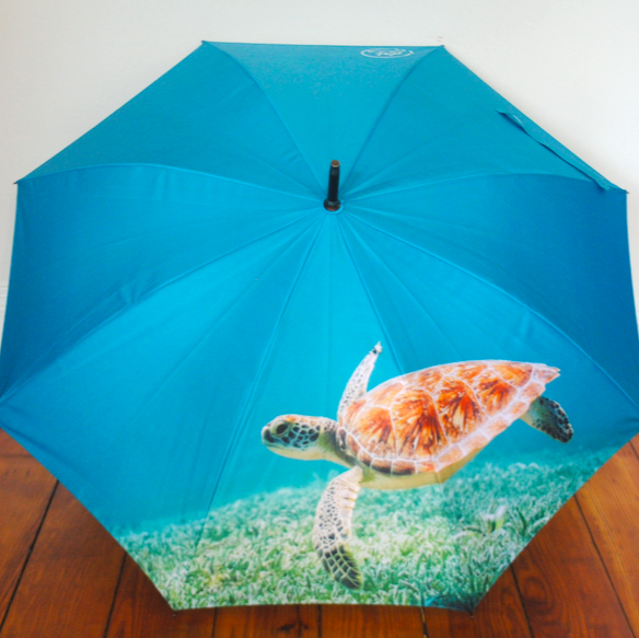 sea turtle umbrella ocean plastic